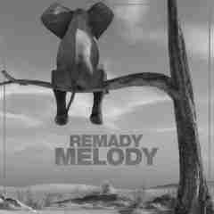 Hedonism 2020 Remady sw